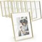 8 Pack Gold 5x7 Floating Glass Picture Frames for Tabletop | Pressed Flowers | Home Decor